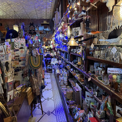 TOP 10 BEST Pokemon Card Shop in Chicago, IL - Updated 2026
