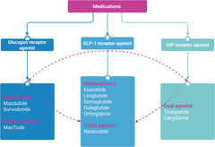 Dual and Triple Gut Peptide Agonists on the Horizon for the Treatment of Type 2 Diabetes and Obesity. An Overview of Preclinical and Clinical Data