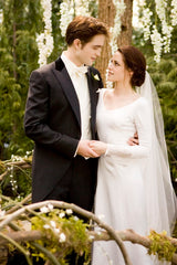 Get an up-close look at the real 'Twilight' wedding dress
