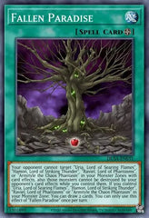 Sacred Beast Deck Breakdown | Guides, Decks & Usage Statistics
