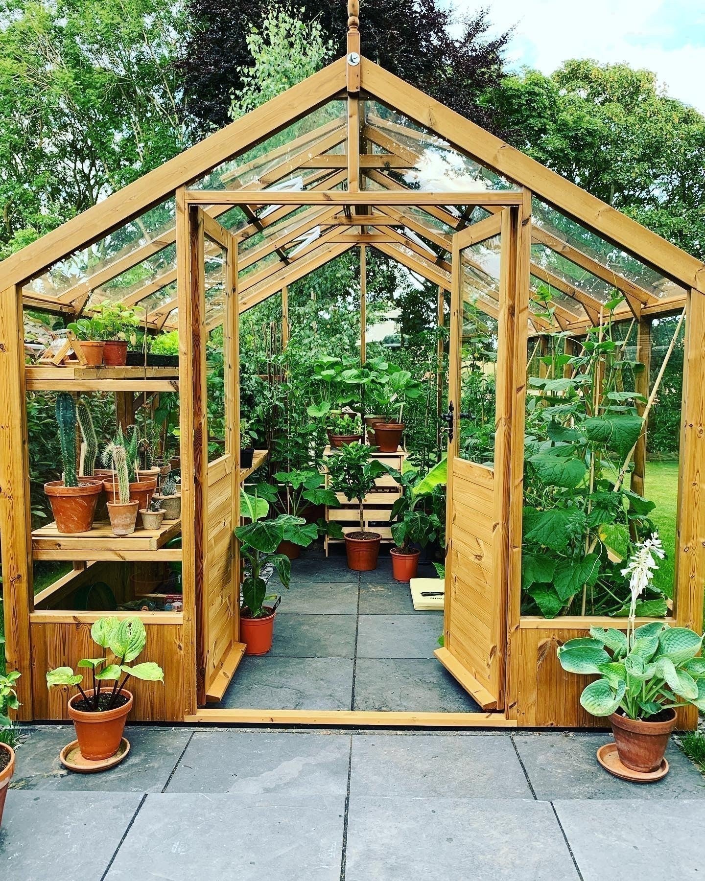 Raven Wooden Greenhouse 8'9x10'5 - Thermowood - Taylors Garden Buildings