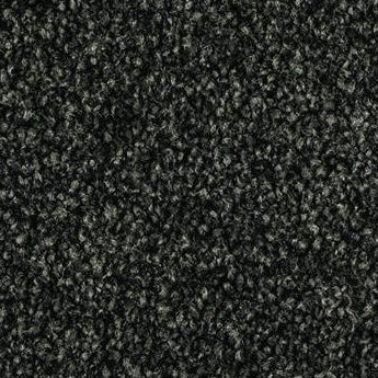 Pleasant Point - 100% Solution Dyed Nylon - Flooring Direct Greenlane
