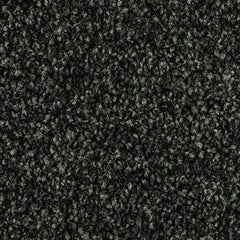 Pleasant Point - 100% Solution Dyed Nylon - Flooring Direct Greenlane