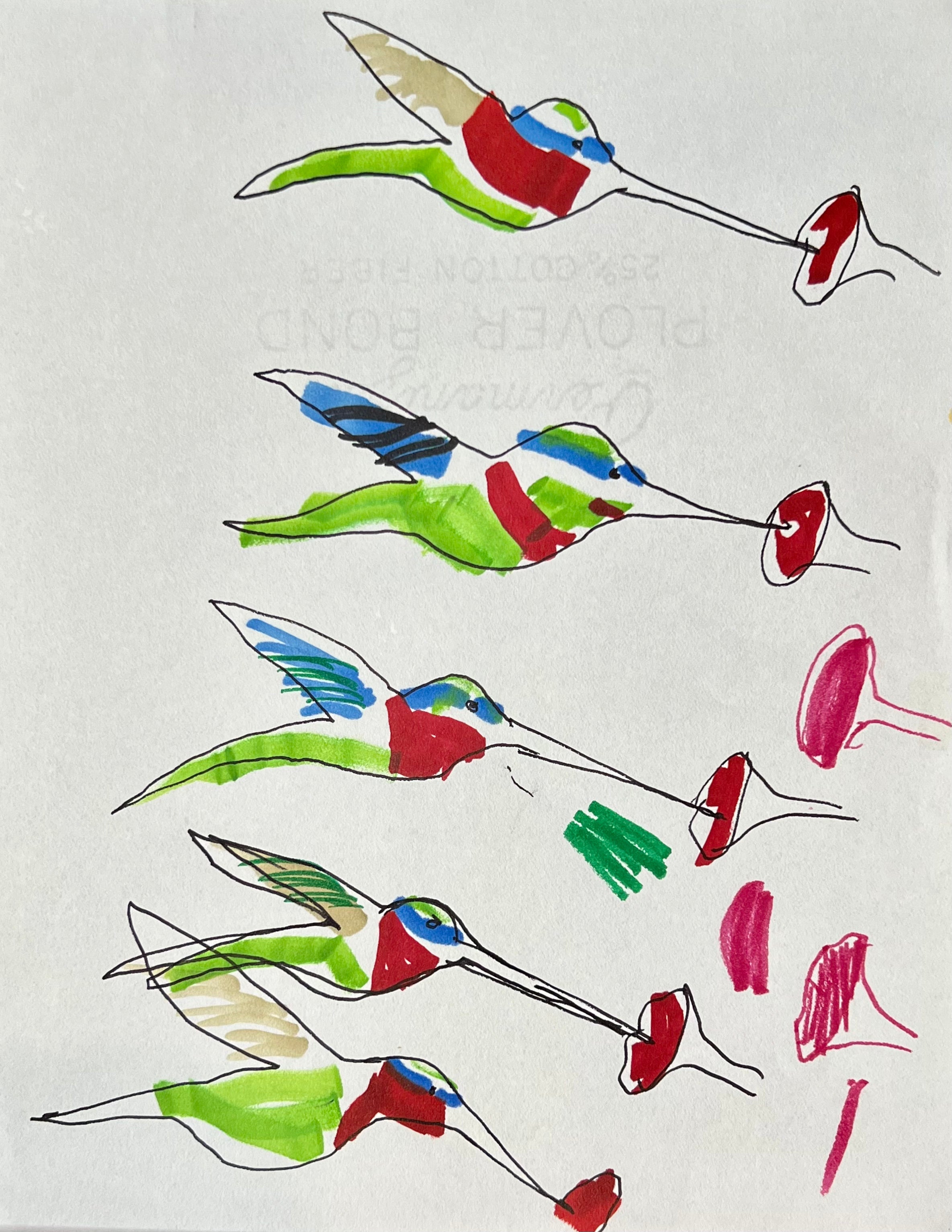 HUMMINGBIRDS AT WORK