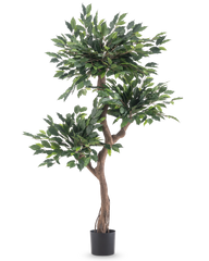 De Kunstplant Ficus Crazy 150 cm is een hoge kunstboom met drie trossen dichte groene bladeren en een gedraaide bruine stam, in een eenvoudige zwarte pot tegen een witte achtergrond.