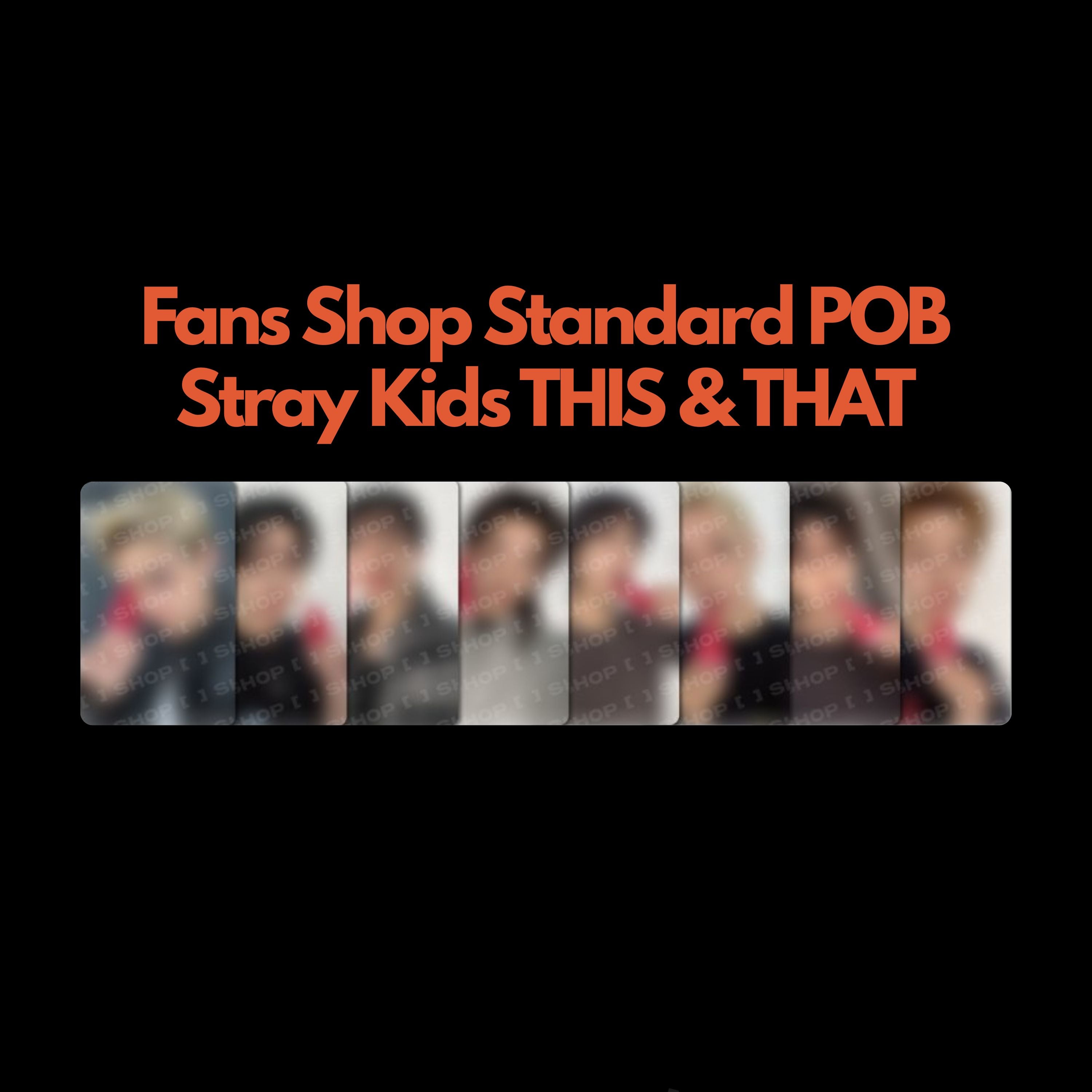 Stray Kids THIS & THAT Fans Shop Standard POB