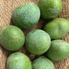 Panduri Mango (Panduvari Mamidi mango) Live Plant