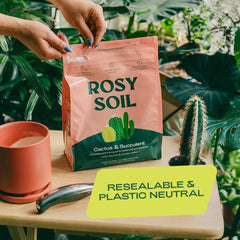 Rosy Soil Fast-Draining Cactus & Succulent Potting Mix - Sand, Pumice, Mycorrhizae & Biochar for Vibrant Growth & Bigger Blooms