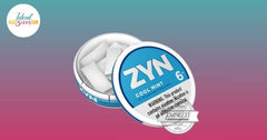 Zyn Can Dimensions: Size, Measurements, & More