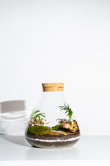 Terrarium Class- Upgrade LAB Jar