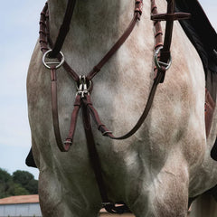 CWD Pre-loved Martingalarmar