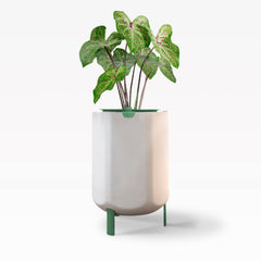 Larger, Sage Green Self-Watering Planter