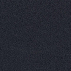 Nuance 2459 Navy Fabric