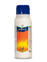 Regent SC Insecticide