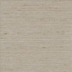 Santorini Natural by Kasmir Designer Fabric 5013 100% Polyester INDIA 30,000 Wyzenbeek Double Rubs H: N/A, V: N/A 54 - 55 - Swanky Fabrics - Kasmir