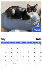 2026 - 2027 Friendly - Pawidols Pet Calendar