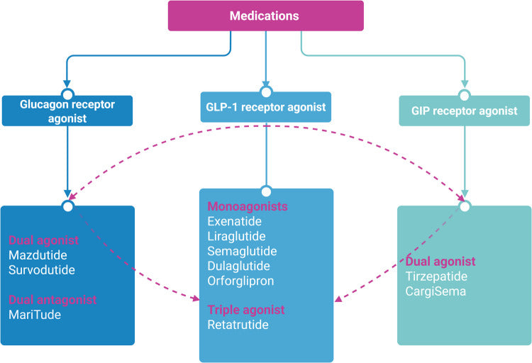 Dual and Triple Gut Peptide Agonists on the Horizon for the Treatment of Type 2 Diabetes and Obesity. An Overview of Preclinical and Clinical Data