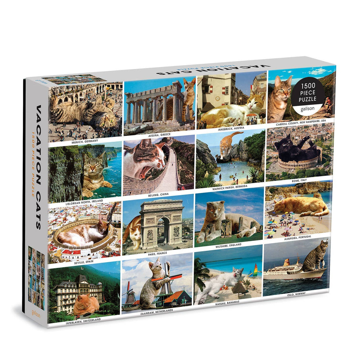 Puzzle, Vacation Cats