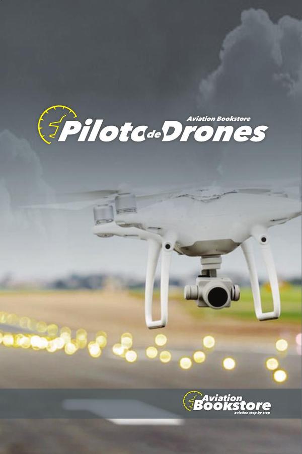 Piloto de Drones