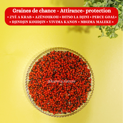 Graines Perce Goal - Oeil de crabe - Chance - Protection