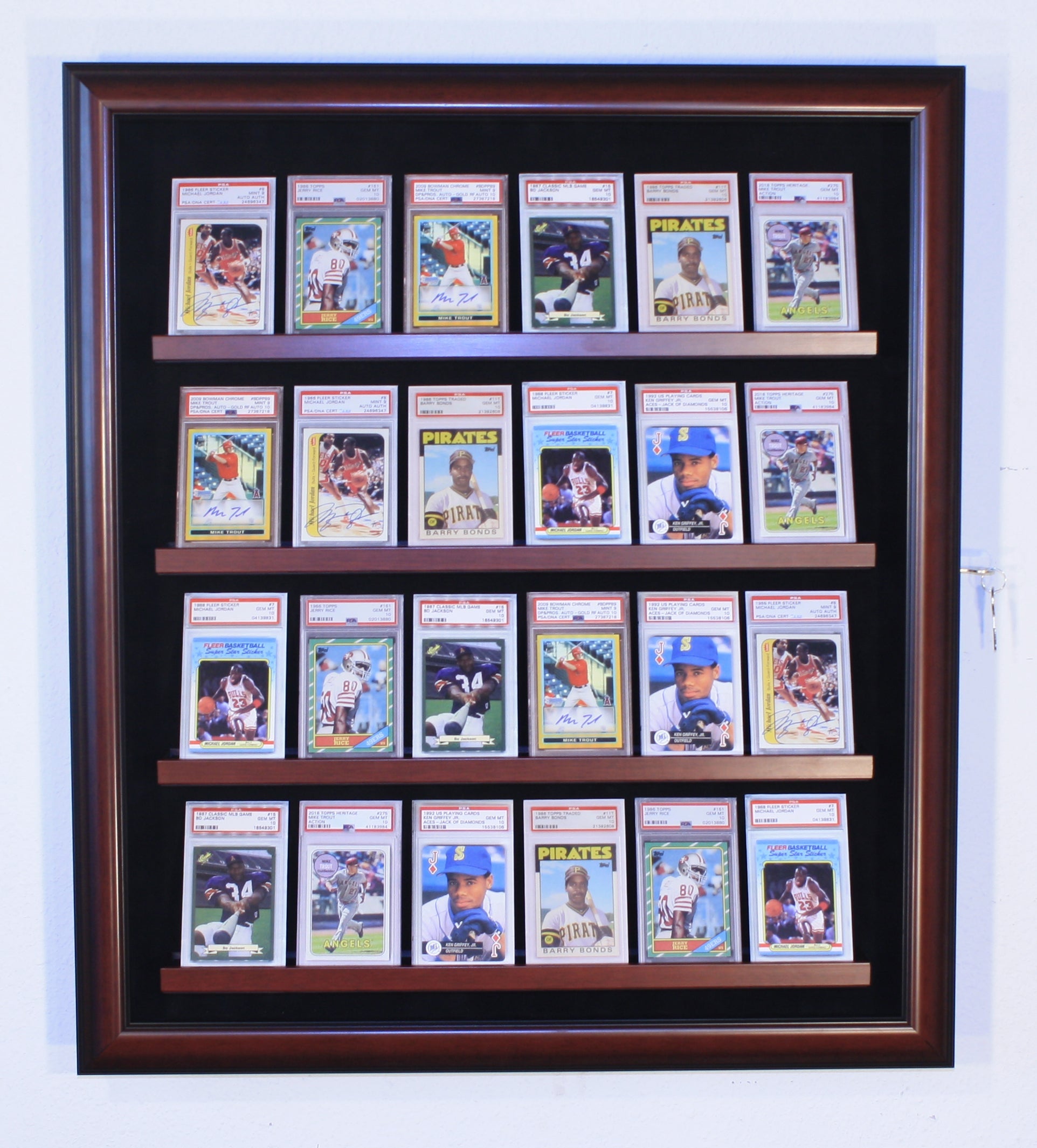 24 Graded Card Display Case