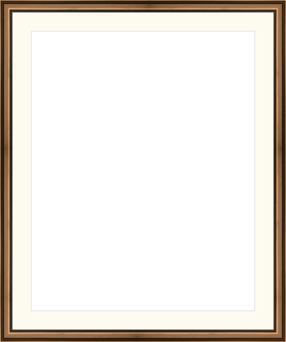 Traditional Bronze Frame. Opening Size: 20x16. Final Size: 24'' X 20''