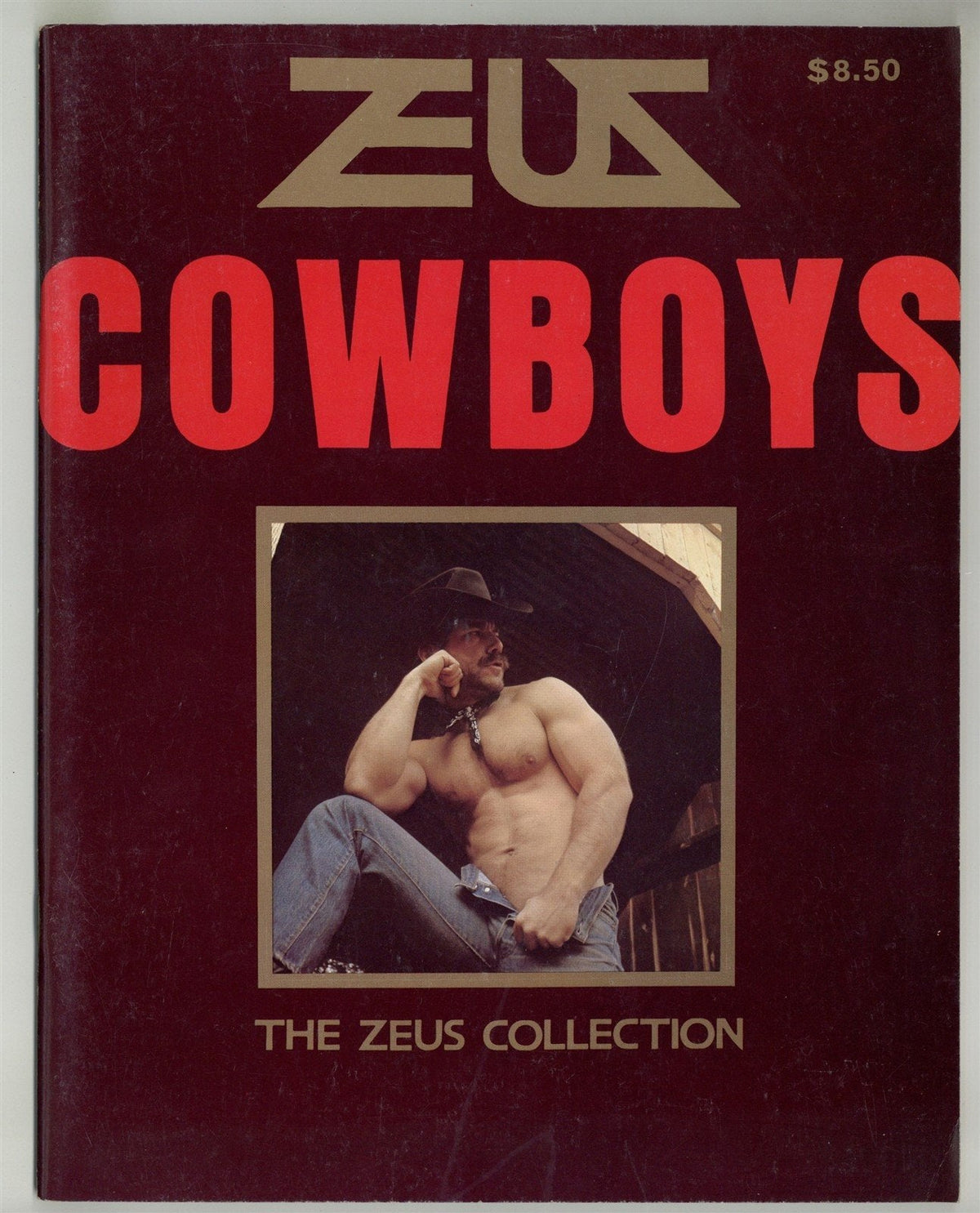 Zeus Cowboys 1981 Gregg Strom, Mickey Squires, Mark Wolf 48pg Zeus Studios, Gay Magazine M26102