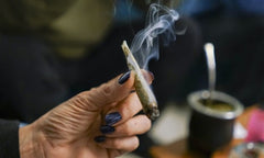 Cannabis users who put tobacco in joints 'more likely to be addicted' | Drugs