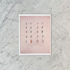 Antique Marine Shells Art Print