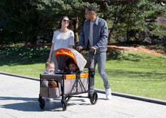 Grey with Bonfire Orange (2377)
