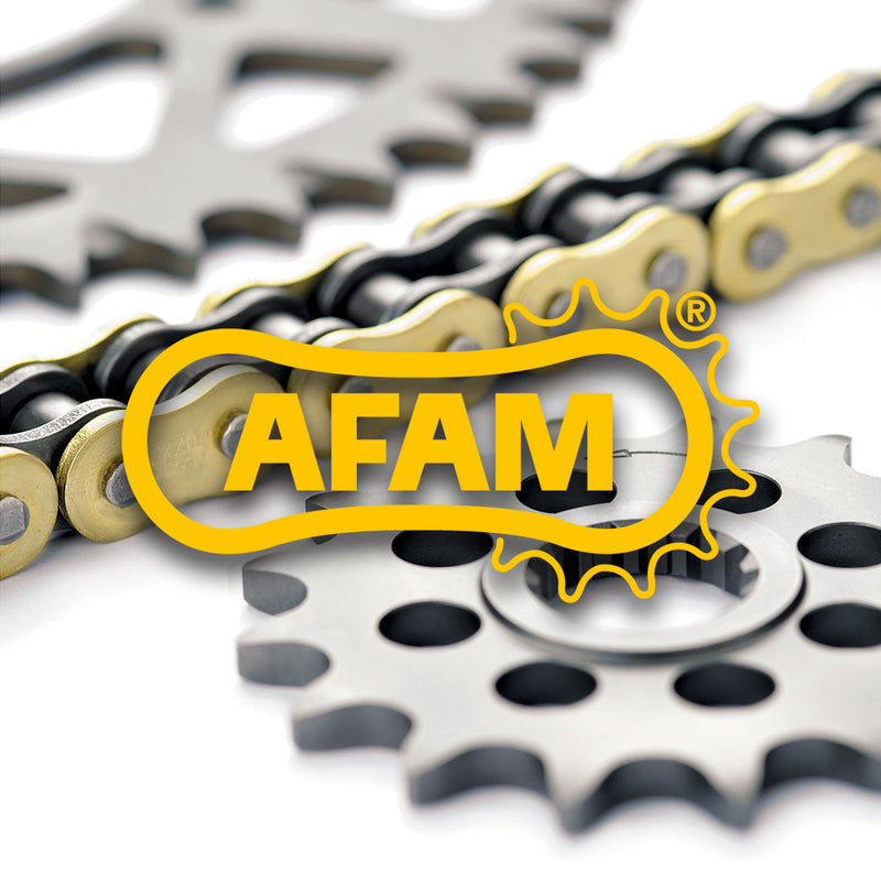 AFAM Kettenkit 520MR2 13/48 Standard - Ultra leicht Kettenrad