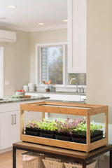 || https://assets.gardeners.com/transform/38e513a0-8abc-4eaa-b47e-6da9916060b0/8597720_9388-tif