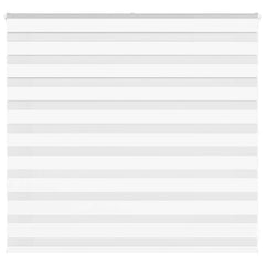 Zebra Blind 160x100 cm stofbreedte 155,9 cm polyester wit