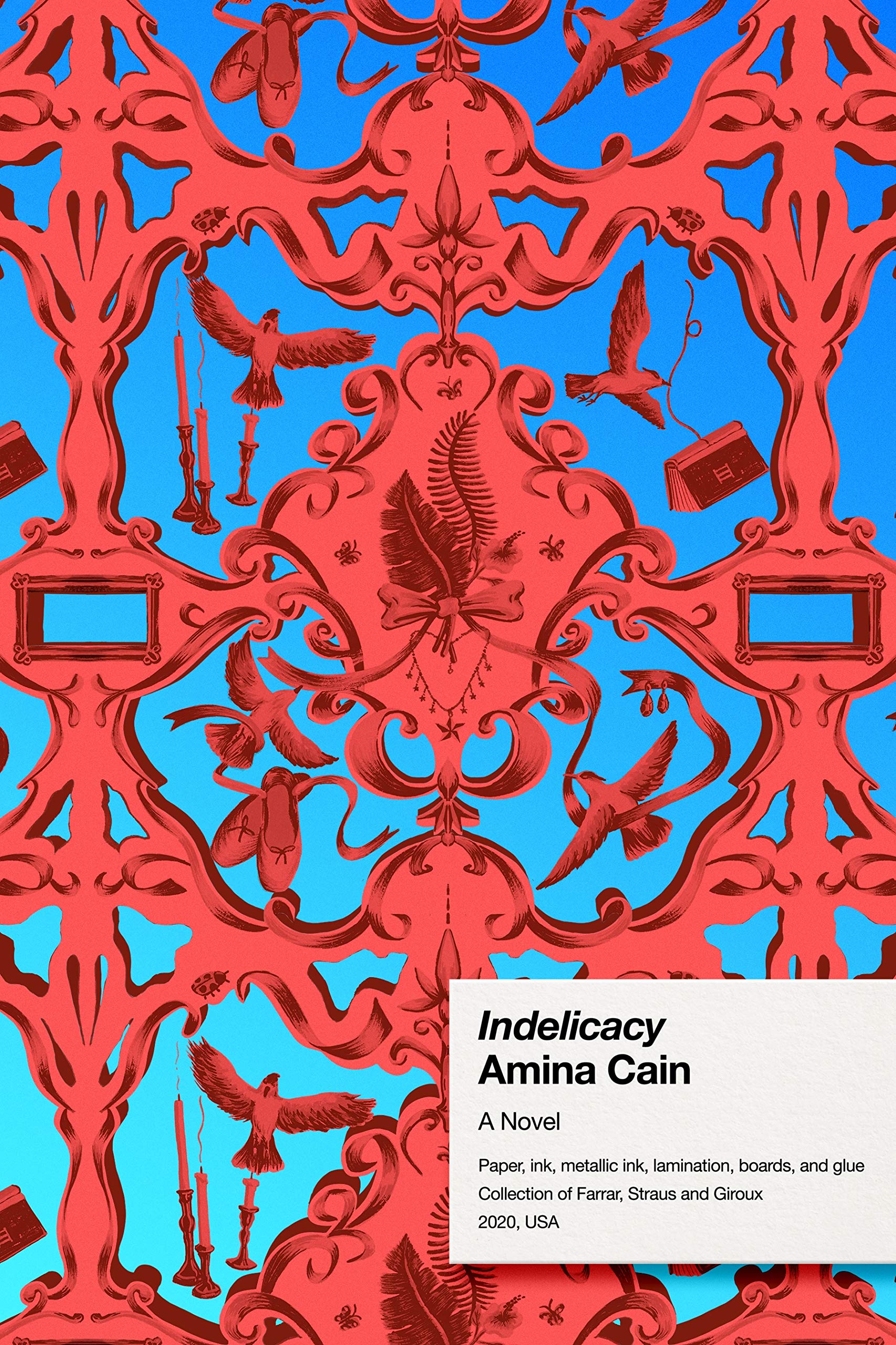 Indelicacy Novel by Amina Cain