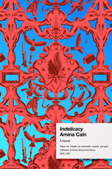 Indelicacy Novel by Amina Cain