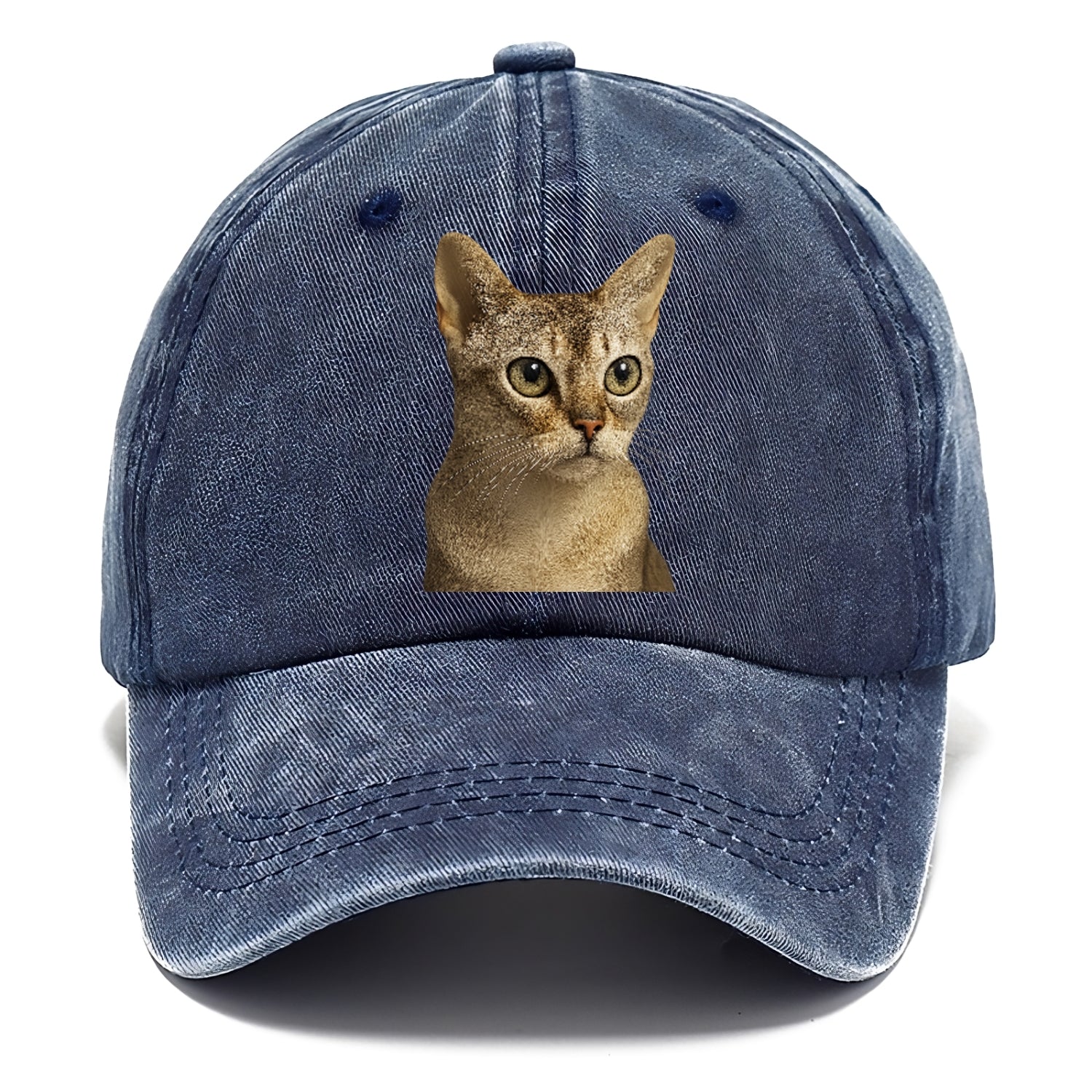 singapura-playful-spirit Hat