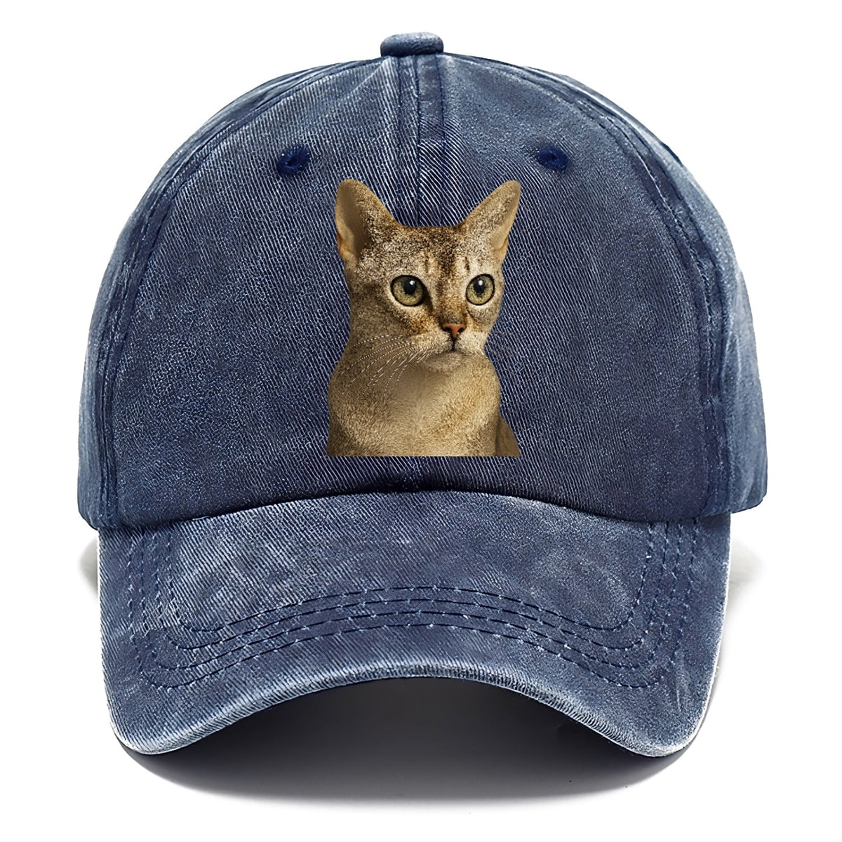 singapura-playful-spirit Hat