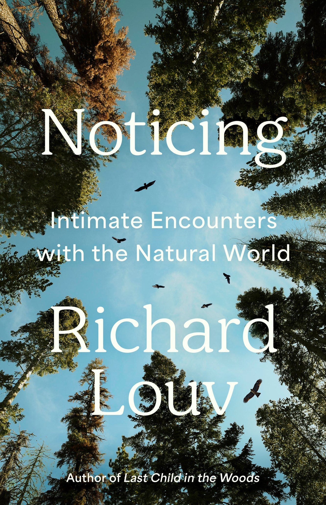 Noticing by Richard Louv