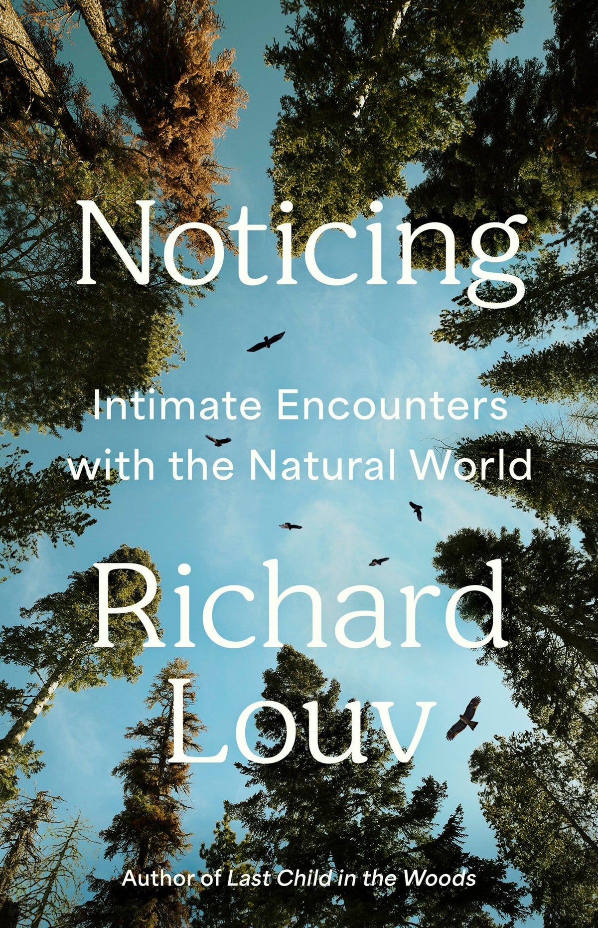 Noticing by Richard Louv