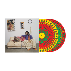 13 Months of Sunshine Vinyl (Zoetrope Picture Disc)