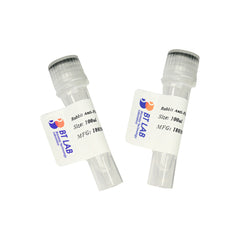 Fyb Monoclonal Antibody, 100ul