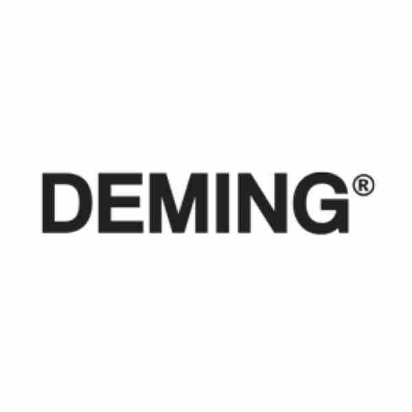 Deming 0069305 - LE RH 1-1/2IN