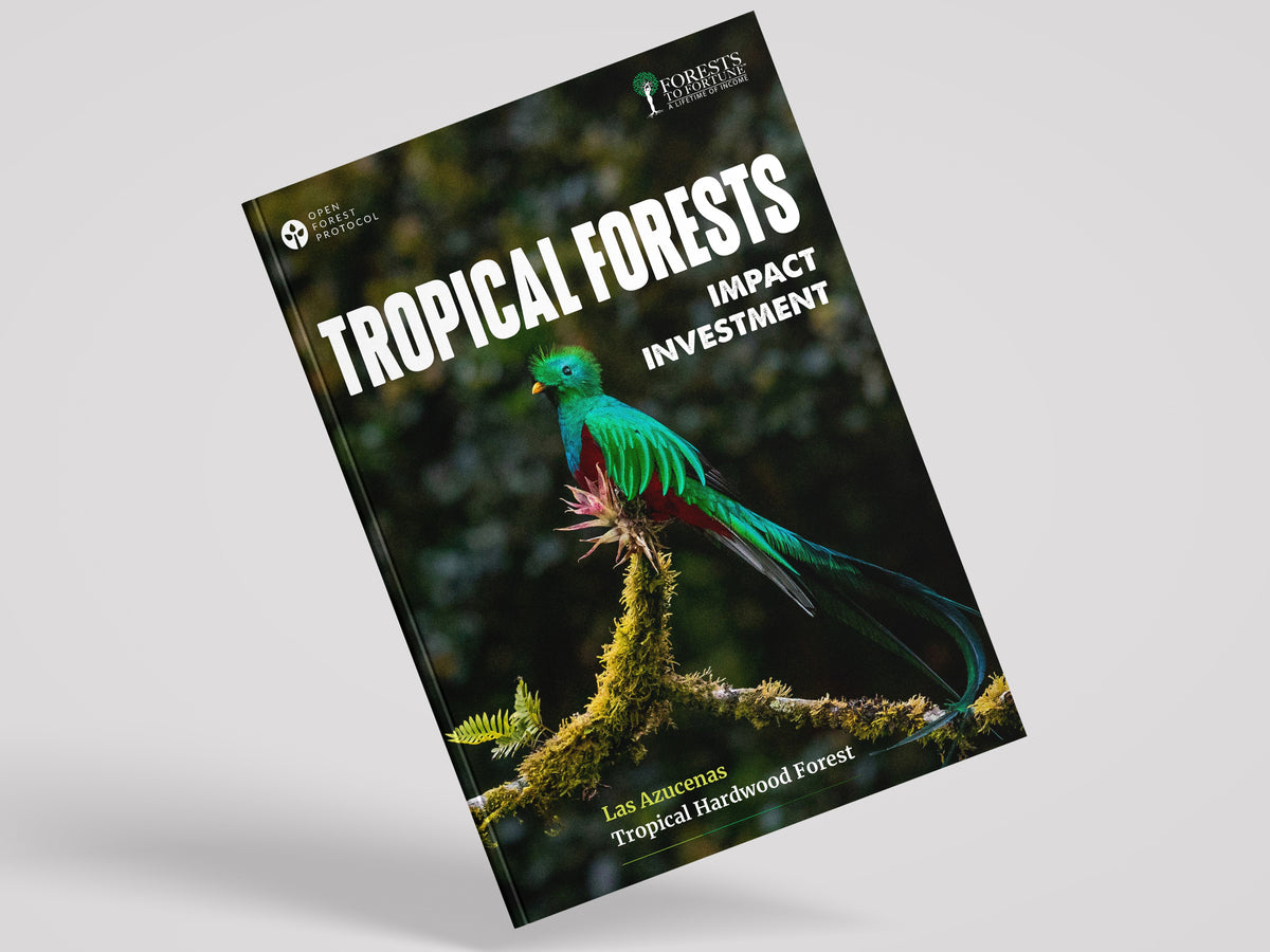 Forest to Fortune - Guatemala Impact Investment Tour 2026