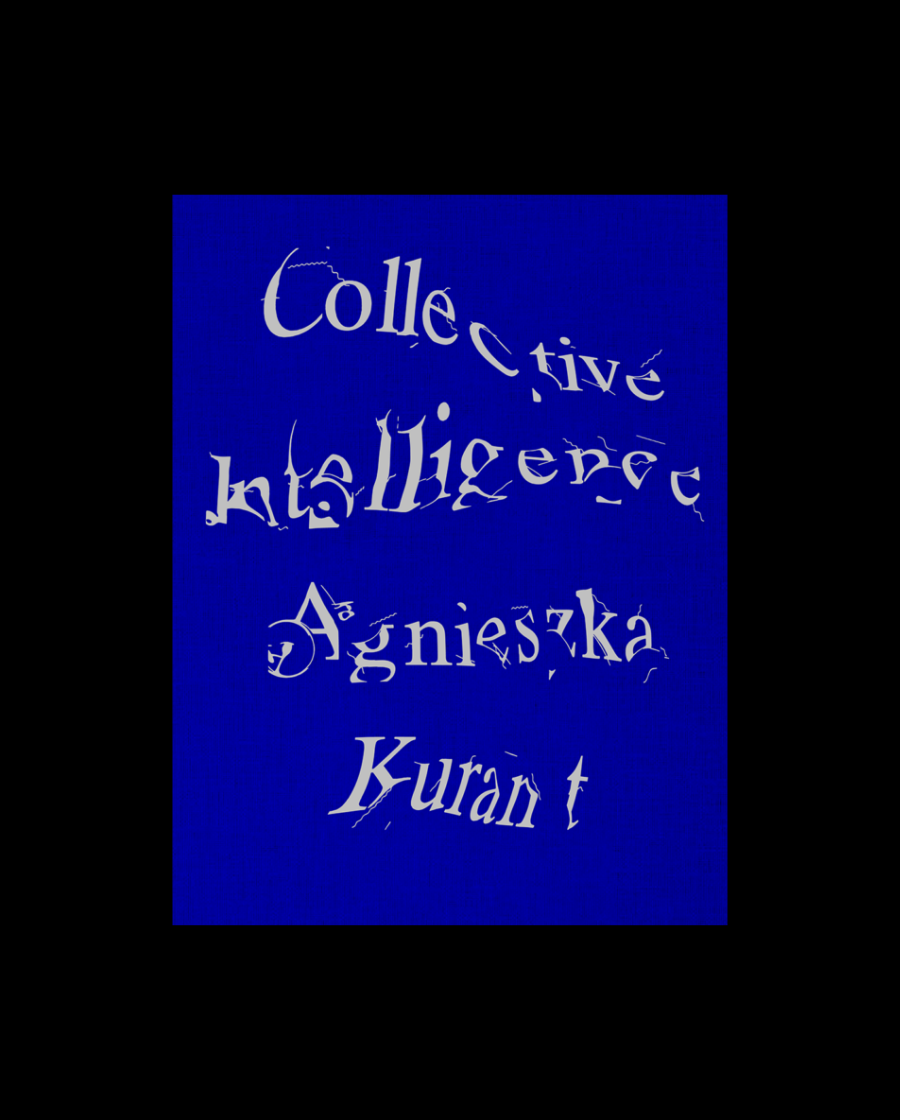 Agnieszka Kurant Collective Intelligence