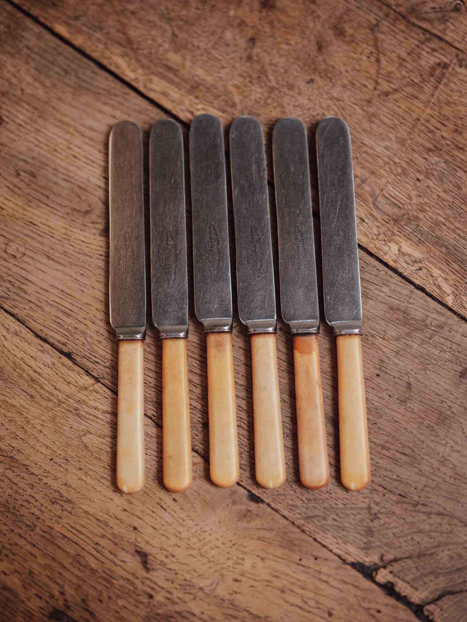 Set of Six Bone-Handled Stainless Knives - Martin Hall and Co Sheffield Shrewsbury