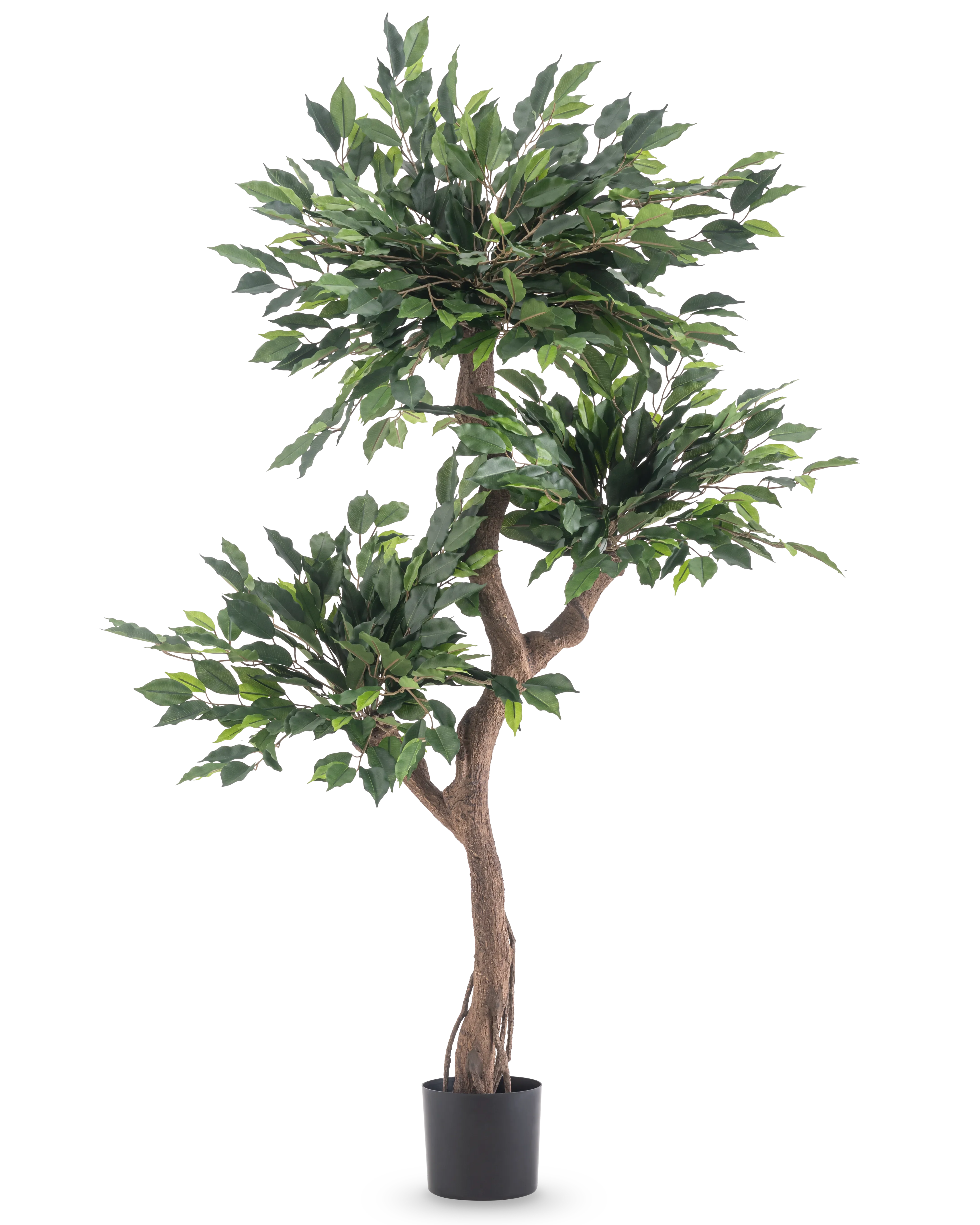 De Kunstplant Ficus Crazy 150 cm is een hoge kunstboom met drie trossen dichte groene bladeren en een gedraaide bruine stam, in een eenvoudige zwarte pot tegen een witte achtergrond.