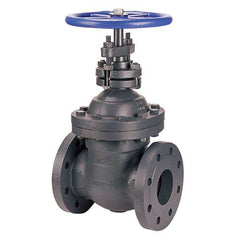 (Nibco Part#: NHB300N) F-669 - Gate Valve - Class 250, Cast Iron, Non-rising Stem, Flanged - Flow Control Products