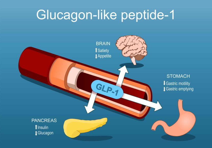 GLP-1 Medications – Community Education