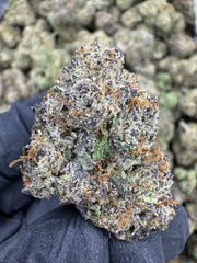 Gelato 47 - THCA BULK Flower - Indoor
