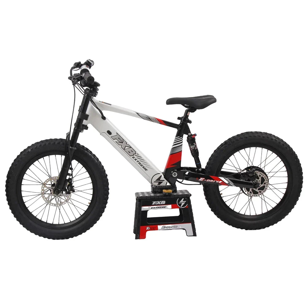 HKM-377619 20 Inch Fat Tire Electric Mountain Bike, 800W 1200W, 36V 48V, 3 Speed, Hydraulic Disc Brakes, Rear Suspension